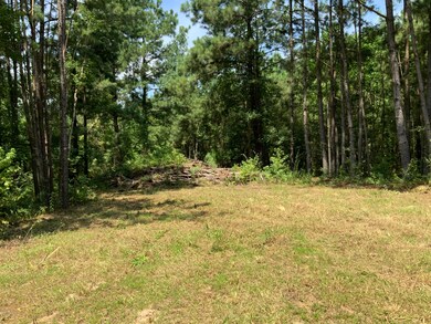 Tbd Redich (14 36) Rd, Eunice, LA 70535 - photo 6