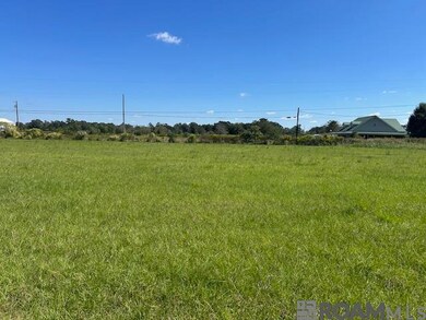 02 Old Highway 51, Amite, LA 70422 - photo 7