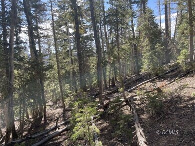 Forested lot