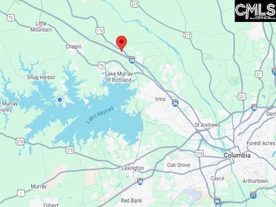 420 Crawley Ln, Chapin, SC 29036 - photo 2