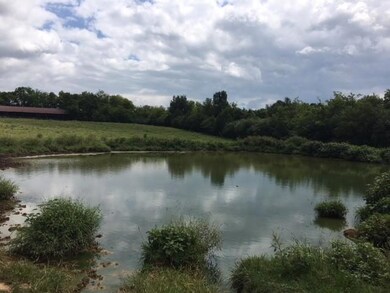 1 Shelbyville Mills Rd, Shelbyville, TN 37160 - photo 3