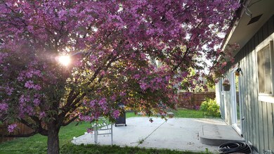 Cedar Circle (4)