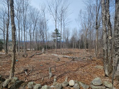 0 Sumner Rd, Paris, ME 04281 - photo 2