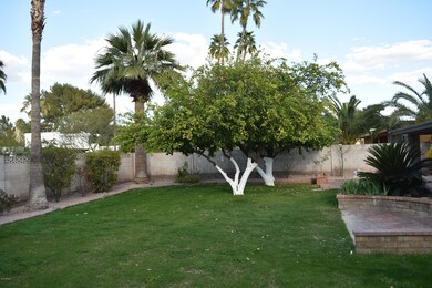 Large backyard