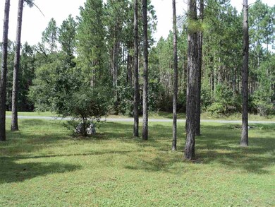 139 Sand Pine Trail, Crawfordville, FL 32327 - photo 5