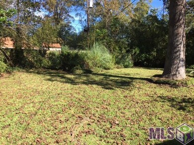 The Backyard is very large with much greenery.