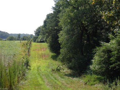 00 Pleasant Ridge Rd, Franklinville, NC 27248 - photo 5