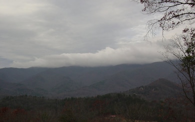 Additional View