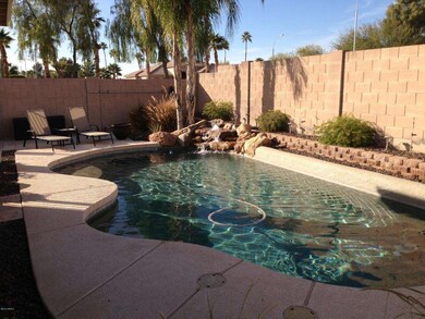 Backyard - Pool