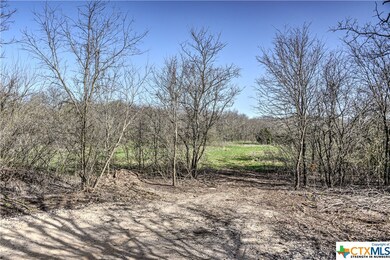 TBD Goates Rd, Other, TX 76579 - photo 3