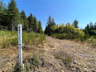 241 Bremgartner Rd, Winlock, WA 98596 - photo 2