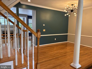 14102 Red Eagle Ln, Silver Spring, MD 20906 - photo 4