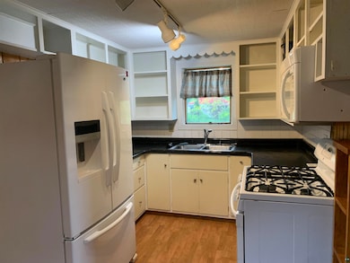 Kitchen with light hardwood / wood-style flooring,