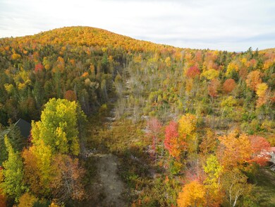 DJI_0224