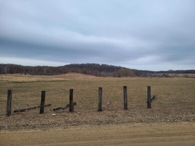 22455 Ginseng Rd, Long Prairie, MN 56347 - photo 5