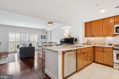 Residences at Park Place unit 514, Annapolis, MD 21401 - photo 2