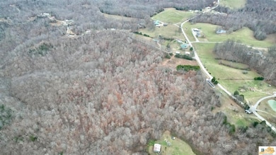 36 Scott Ridge Rd, Edmonton, KY 42129 - photo 5