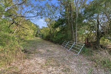 TBD County Road 204, Plantersville, TX 77363 - photo 4
