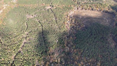 County Road 9, Bruce, MS 38915 - photo 2