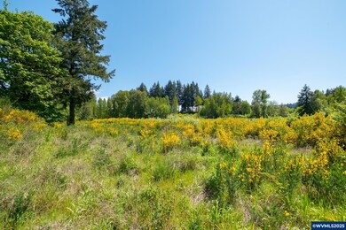 2414 Next To Main St, Sweet Home, OR 97386 - photo 7