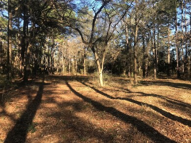 0 Roberts Cemetery Rd unit 13063237, Hockley, TX 77447 - photo 5