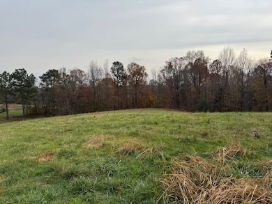 0 Keller Rd, Toone, TN 38381 - photo 4