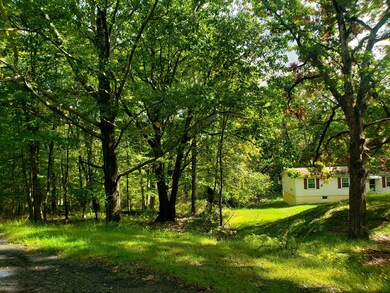 118 Stag Ct, Bushkill, PA 18324 - photo 2