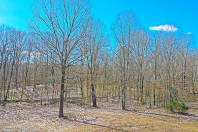 2022 Grant Rd, Grenada, MS 38901 - photo 5