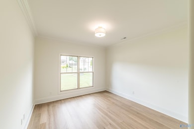 6027 Peach Pond Way SE, Owens Cross Roads, AL 35763 - photo 6