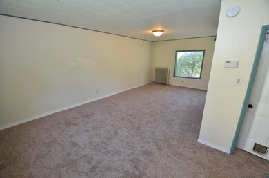 Unfurnished room featuring radiator and carpet