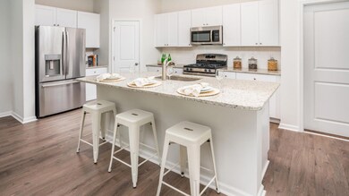 613 Winter Wren Way, Moncks Corner, SC 29461 - photo 3