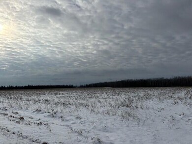 field