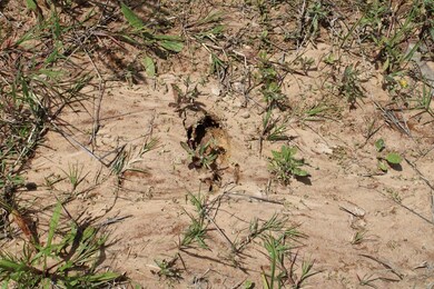 0 Cr 820 unit 62479, Nacogdoches, TX 75969 - photo 7