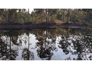 Spring Fed Pond