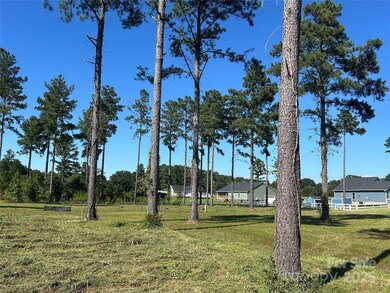 2.20 AC Harmony Church Rd unit 1, Edgemoor, SC 29712 - photo 6