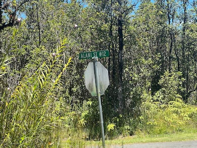 0 Palainui Ave unit 723137, Mountain View, HI 96771 - photo 5