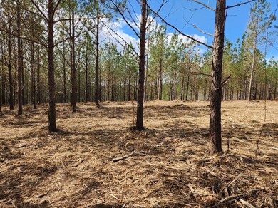 231 Pioneer Dr, Linden, TN 37096 - photo 4