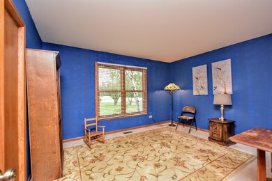 9117 Anthony Ln, Spring Grove, IL 60081 - photo 7