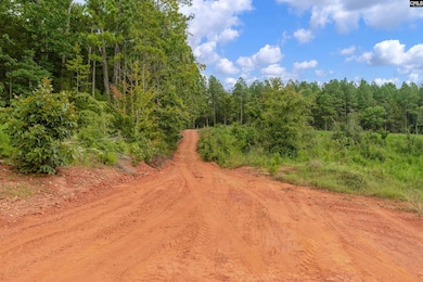 0000 S Carolina 215 unit 8, Jenkinsville, SC 29065 - photo 3