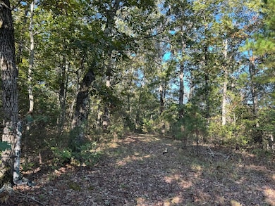 000 Hwy 9, Rushing, AR 72051 - photo 3