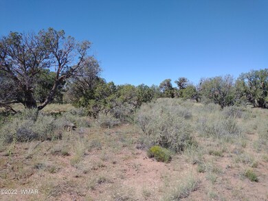 IMG_20220917_110919214