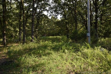 460816 E 1109 Rd, Sallisaw, OK 74955 - photo 2