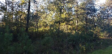 0 Crossroads unit 77122125, Splendora, TX 77372 - photo 4