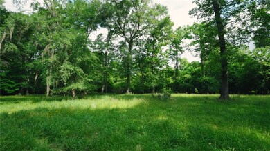 0 E River Rd unit 1646569, Jacksonville, GA 31544 - photo 4