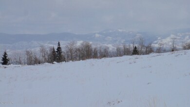 Lot/View