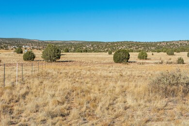 1120 E Cougar Ridge Rd, Paulden, AZ 86334 - photo 5