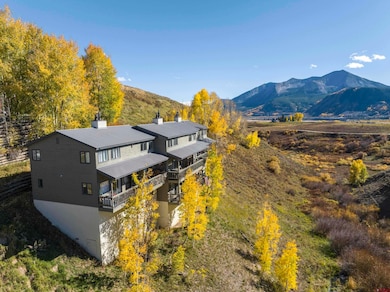 27 Crystal Rd unit 5, Crested Butte, CO 81225 - photo 2