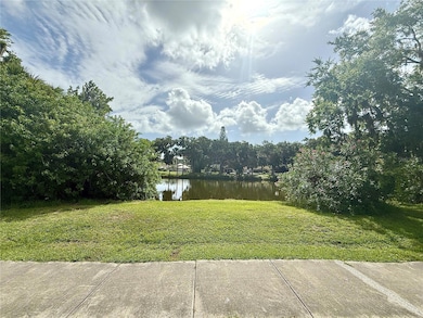 Pond Front Views