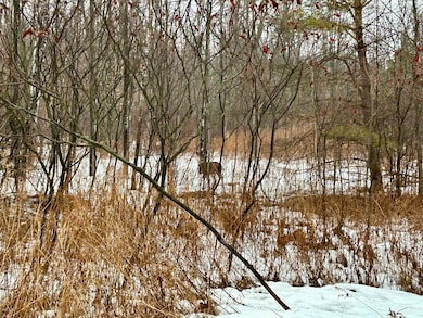 5346 Glacier Ridge Rd, Crandon, WI 54520 - photo 5