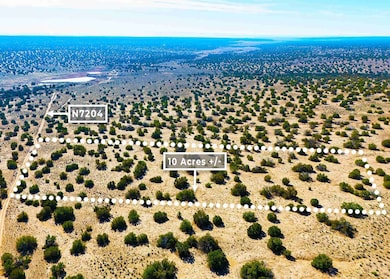 75 County Rd N7204, Saint Johns, AZ 85936 - photo 3